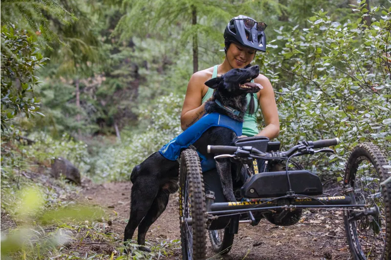 Ruffwear Trail Runner Dog Running Vest Blue Pool-8